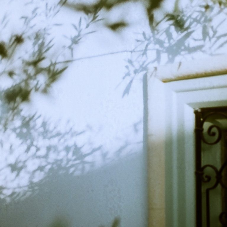 Hedi Jamoussi Executive Coaching