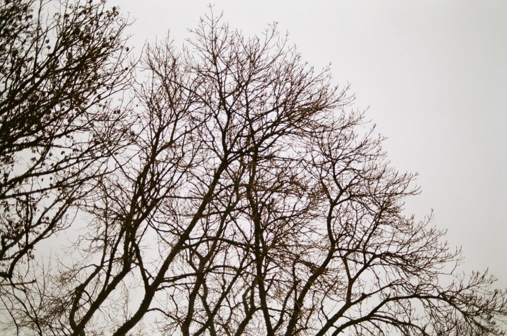 Hedi Jamoussi Executive Coaching